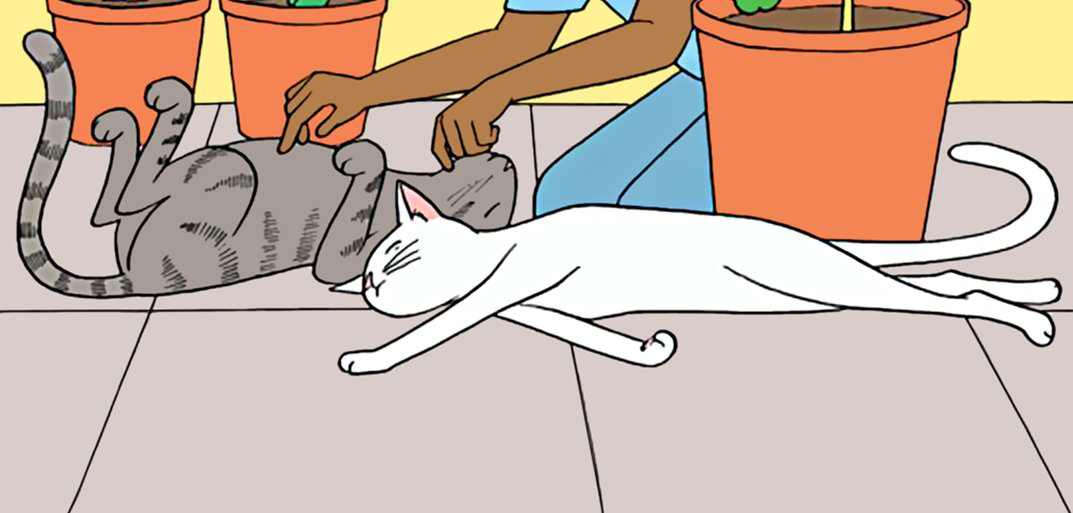 Different Kind of Pets