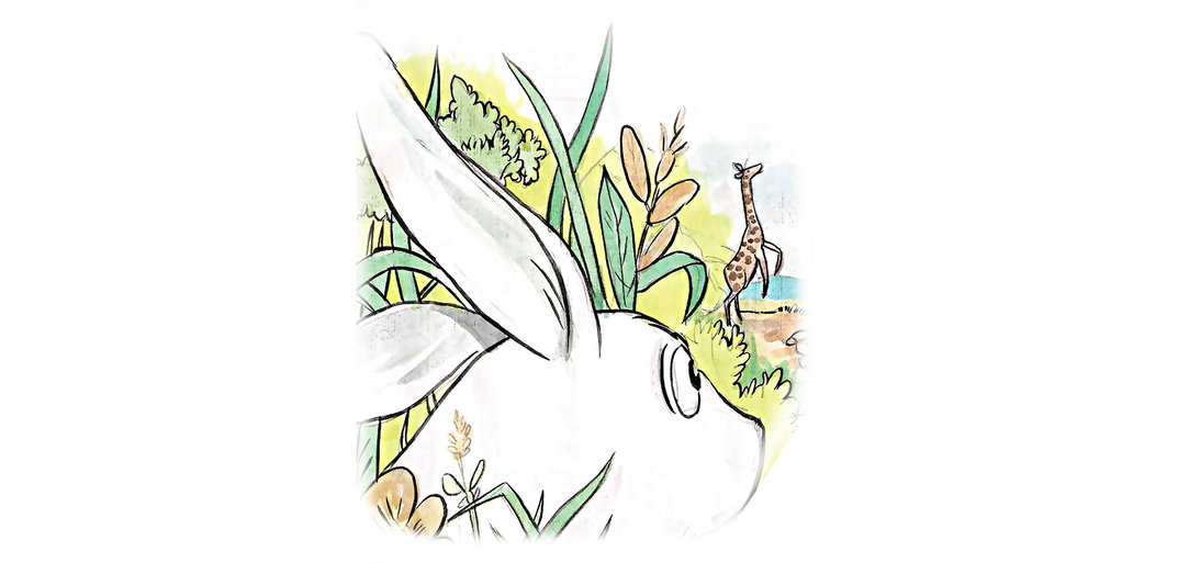 The Hare's Story