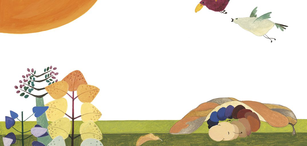 The Many Legs of the Millipede